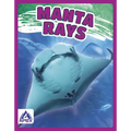 Manta Rays