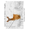 The Great Outdoors [Line Drawings]: Color the Art of Nature + Wildlife