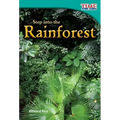 Step into the Rainforest