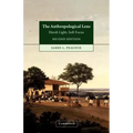 The Anthropological Lens: Harsh Light, Soft Focus