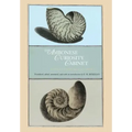 The Ambonese Curiosity Cabinet