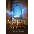 Seer of Souls: (The Spirit Shield Saga Book One)