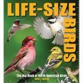 Life-Size Birds: The Big Book of North American Birds