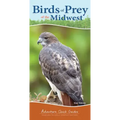 Birds of Prey of the Midwest: Your Way to Easily Identify Raptors