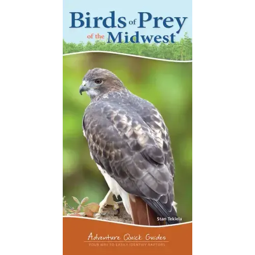 Birds of Prey of the Midwest: Your Way to Easily Identify Raptors