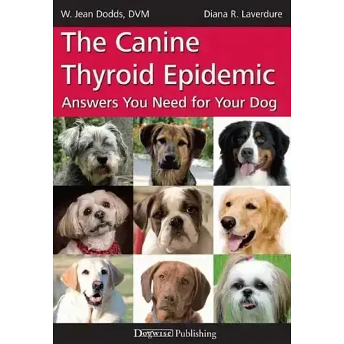 The Canine Thyroid Epidemic: Answers You Need for Your Dog