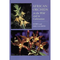 African Orchids in the Wild and in Cultivation