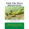 Fire On Bull Mountain: A World War Two Plane Crash in Patrick County Virginia