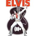 Rock and Roll Comics: Elvis Presley Experience: Special Hard Cover Edition