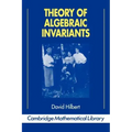 Theory of Algebraic Invariants