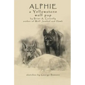 Alphie, a Yellowstone Wolf Pup