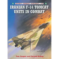 Iranian F-14 Tomcat Units in Combat