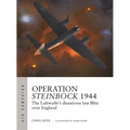 Operation Steinbock 1944: The Luftwaffe's Disastrous Last Blitz Over England