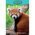 Red Pandas