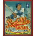 Barbed Wire Baseball: How One Man Brought Hope to the Japanese Internment Camps of WWII