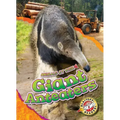 Giant Anteaters