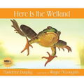Here Is the Wetland
