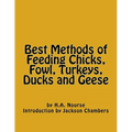 Best Methods of Feeding Chicks, Fowl, Turkeys, Ducks and Geese