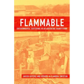 Flammable: Environmental Suffering in an Argentine Shantytown