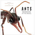 Ants: Workers of the World