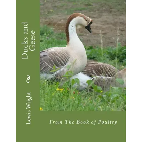 Ducks and Geese: From The Book of Poultry
