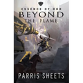 Beyond the Flame: A Young Adult Fantasy Adventure