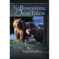Yellowstone Bear Tales
