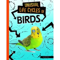 Unusual Life Cycles of Birds