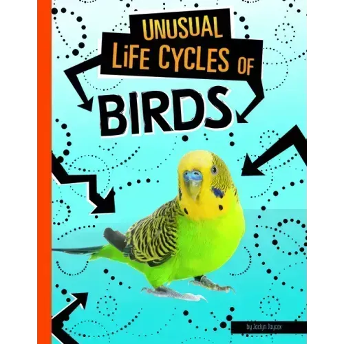 Unusual Life Cycles of Birds