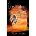A Love Like Fire: High Fantasy M/M Romance