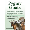 Pygmy Goats. Miniature Goats and Pygmy Goats As Pets. A Guide to Keeping Pygmy Goats.