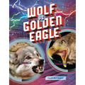 Wolf vs. Golden Eagle