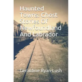 Haunted Towns: Ghost Stories Of Newfoundland And Labrador