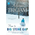 Home to Big Stone Gap