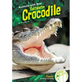 Saltwater Crocodile