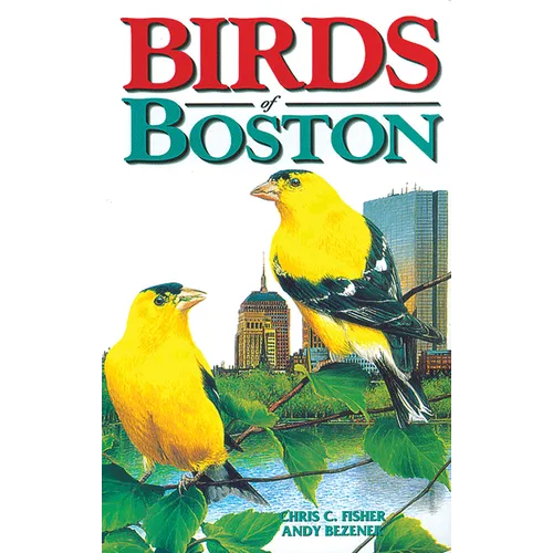 Birds of Boston