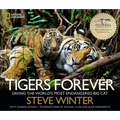 Tigers Forever: Saving the World's Most Endangered Big Cat