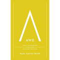 Awe: Why It Matters for Everything We Think, Say, and Do (with Study Questions)