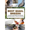 Best Quail Breeds: 10 Types Of Quail Breeds That Are Good Layers And Are Best To Keep For Their Meat