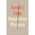 Aaron's Leap