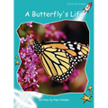 A Butterfly's Life