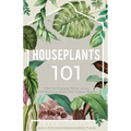 Houseplants 101: How to choose, style, grow and nurture your indoor plants