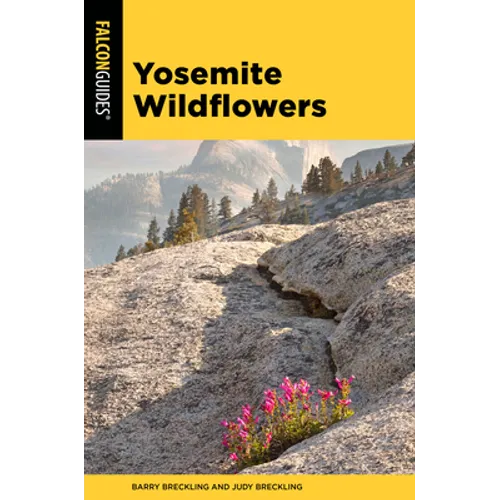 Yosemite Wildflowers