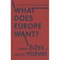 What Does Europe Want?: The Union and Its Discontents