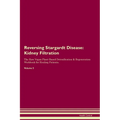 Reversing Stargardt Disease: Kidney Filtration The Raw Vegan Plant-Based Detoxification & Regeneration Workbook for Healing Patients. Volume 5