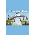Consider The Ant - God's Tiny Preachers