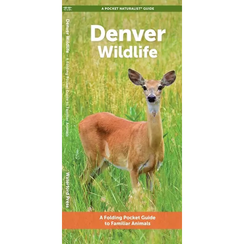 Denver Wildlife: A Folding Pocket Guide to Familiar Animals