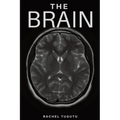 The Brain
