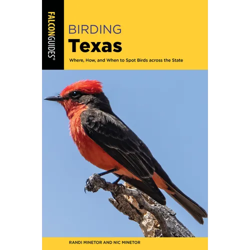 Birding Texas