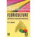 Floriculture: Cultivation Processing and Marketing